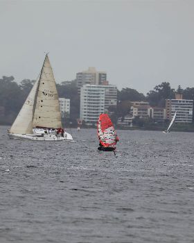 Foil Swan river