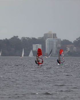 Foil Swan river
