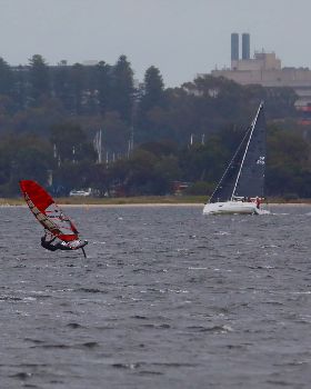 Foil Swan river