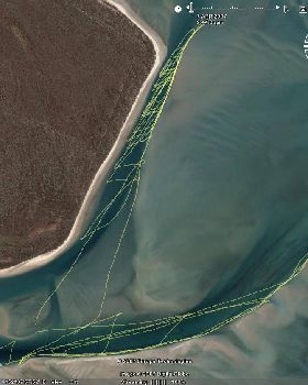 Burrum Heads Track