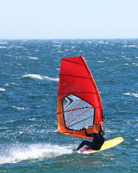 Green Point Aug 5