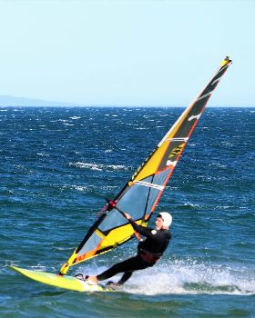 Green Point Aug 5