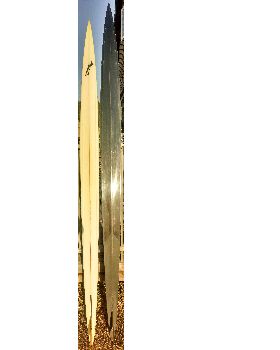 Mudshark bottom