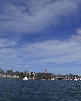 DSC00017
