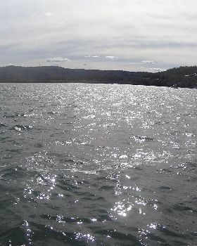 DSC00022