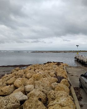 The pond 6/8/18