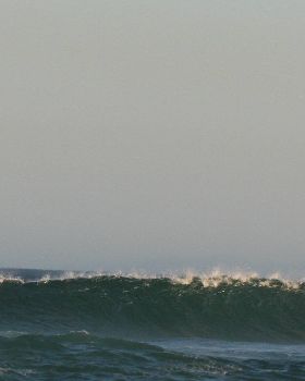 birdie beach NSW