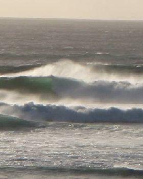 Big Margies, 8 Dec