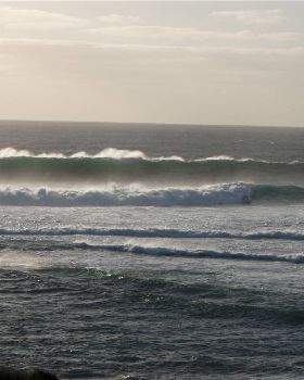 Big Margies, 8 Dec