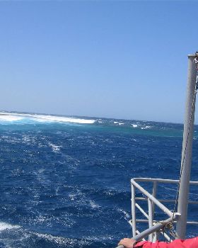 More shots from Abrolhos