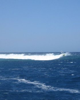 More shots from Abrolhos