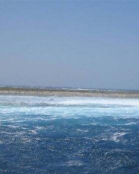 More shots from Abrolhos