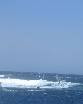 More shots from Abrolhos