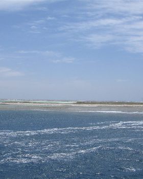 More shots from Abrolhos
