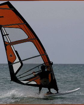Harry