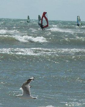 Seacliff - best day for a long time and over 2 dozen out