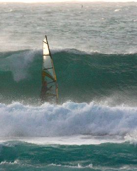 some big fish in the water at gnaraloo