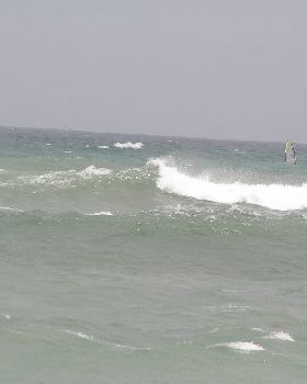 hot action shot  - my big backy.