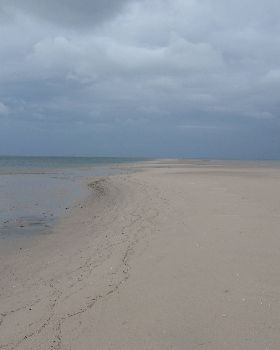 The bank
