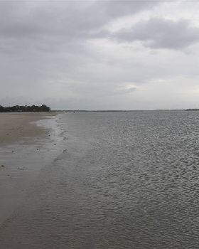 The bank