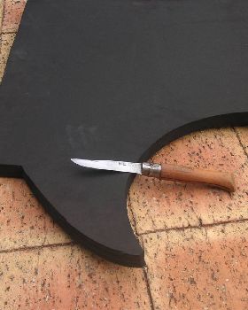 Nose Protector and EVA sheet