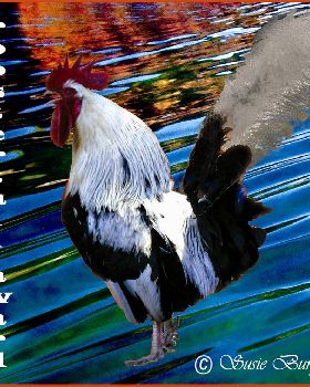 The Award