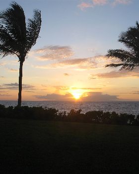 maui
