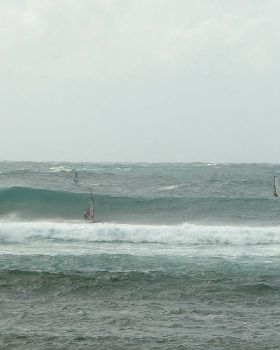 Nomadic 2008