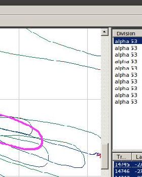 Carrindale's alpha at 53, seperation