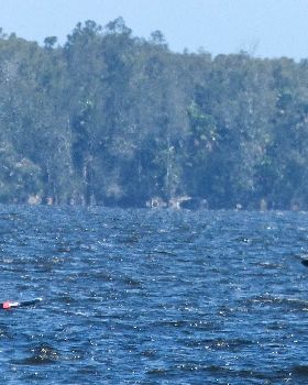 Myall Lakes GPS event  2018