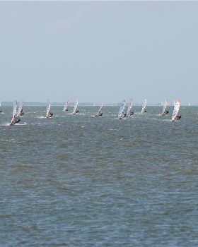 A couple of pics from the Waterloo Cup, Rose Bay, Manly