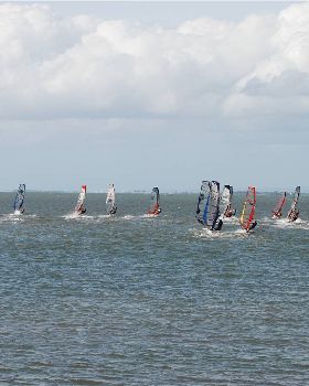 A couple of pics from the Waterloo Cup, Rose Bay, Manly