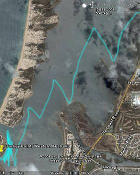 tracks from the downwider today