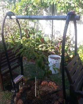 Garden Shade