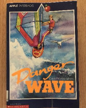 Danger Wave Book