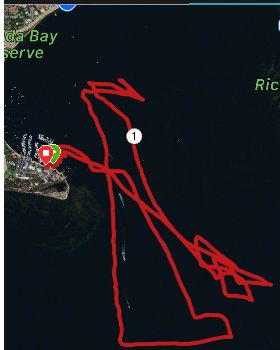 Hydra