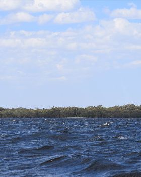 Myall Lakes December 2018