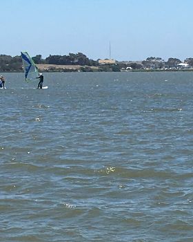 Family & Foil Day 20th Jan