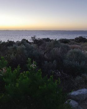 Robe - 31 Jan 19