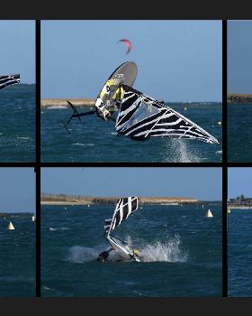 zebre
