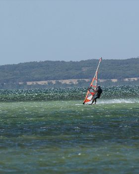 P2010995