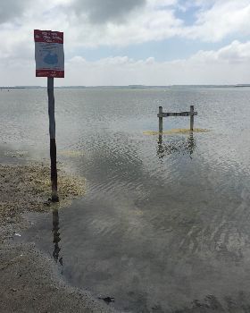 Water level LG 07-02-19