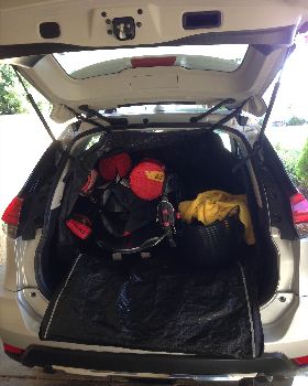 Mystic Car Bag
