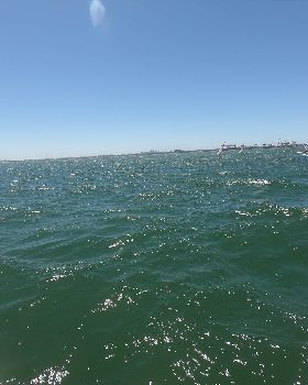 Kurnell Formula and Foil Races