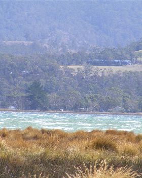 Windy SWly