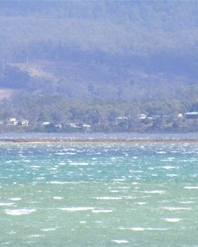 Windy SWly