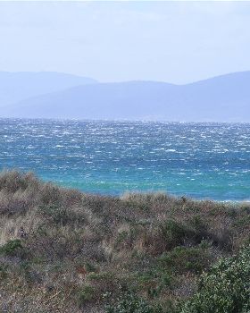 Windy SWly