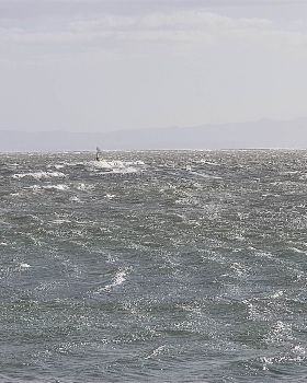 Nice wind