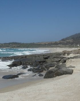 DSC06628