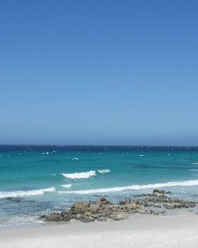 DSC06635